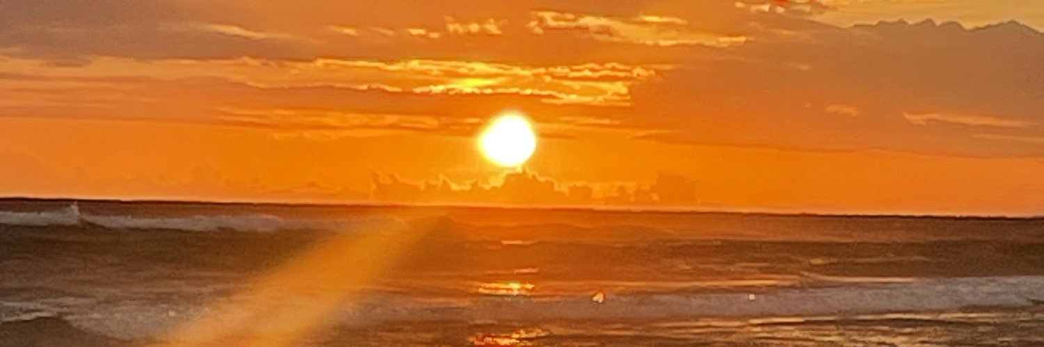 VCarpico's profile banner image
