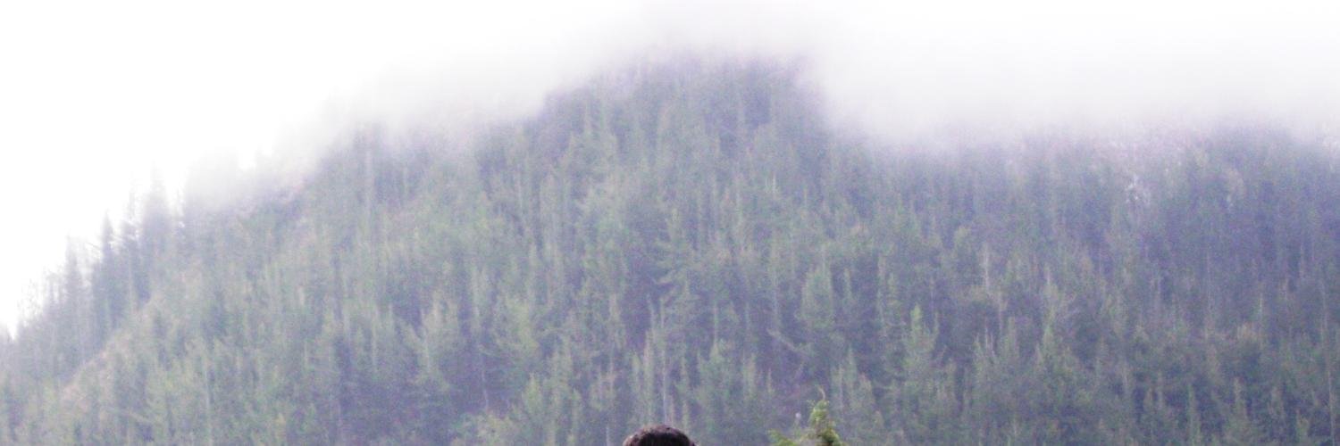 LeftSant's profile banner image