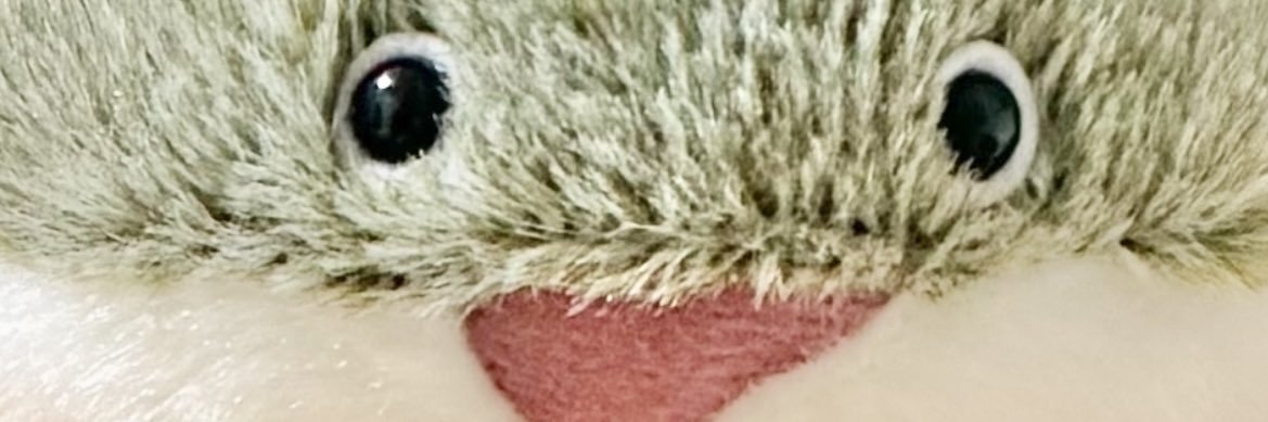 kyap274's profile banner image