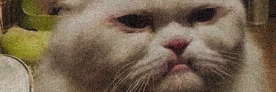 ital0u's profile banner image