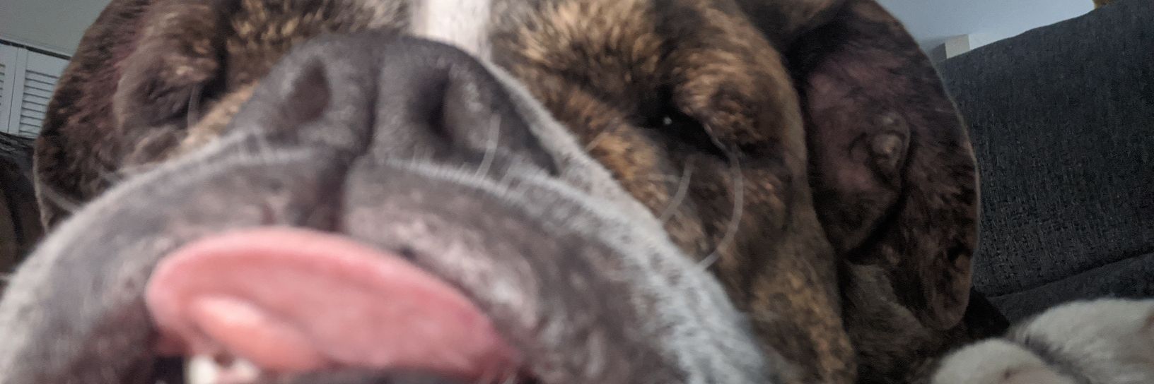 abcMeee's profile banner image