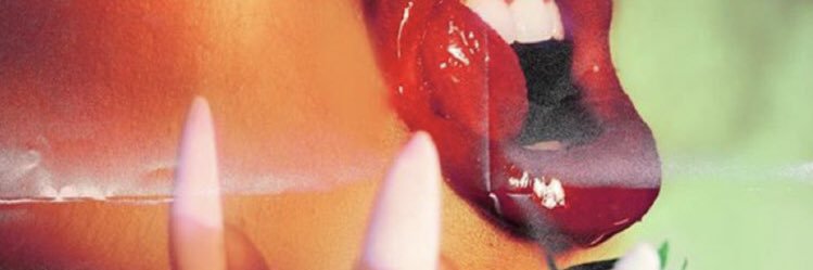 endlesslybeau's profile banner image