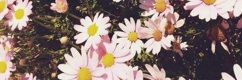 hasnataha_'s profile banner image