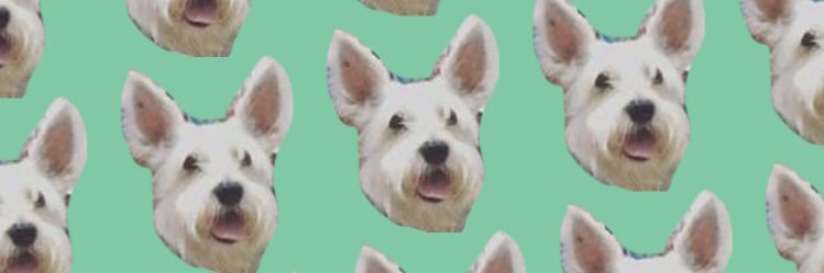 dansordani's profile banner image