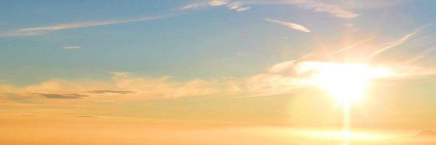 miscarunika's profile banner image