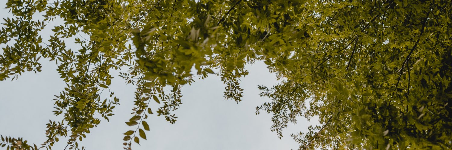 calebmclarke's profile banner image