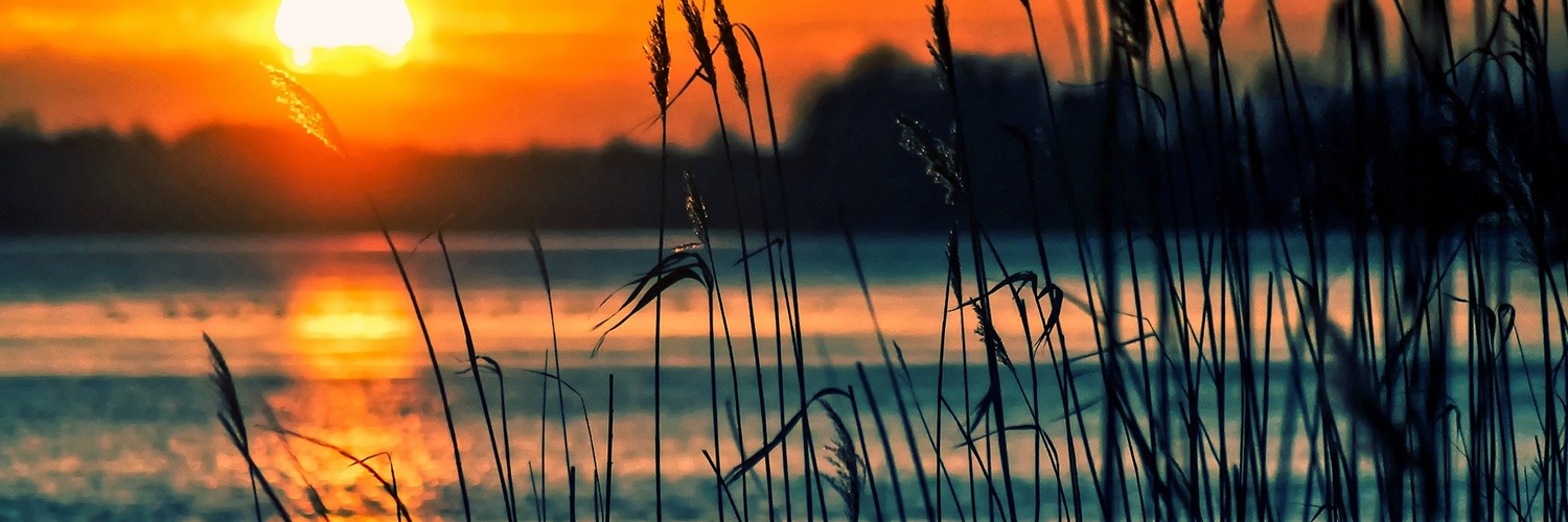 LorenaSauts's profile banner image