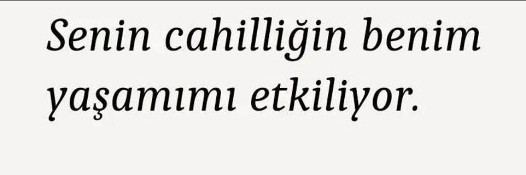 serdaraykurt's profile banner image