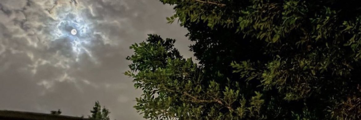 AlKurning's profile banner image