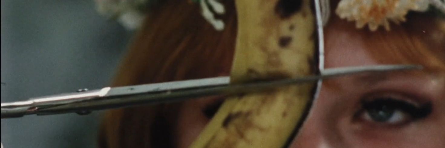 _danichances's profile banner image