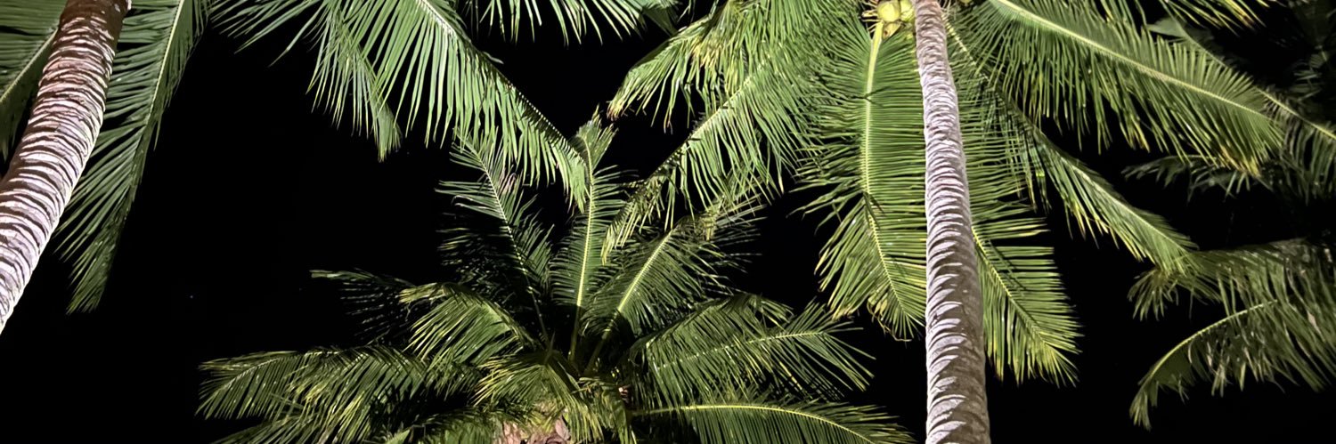 CIKmehgee's profile banner image