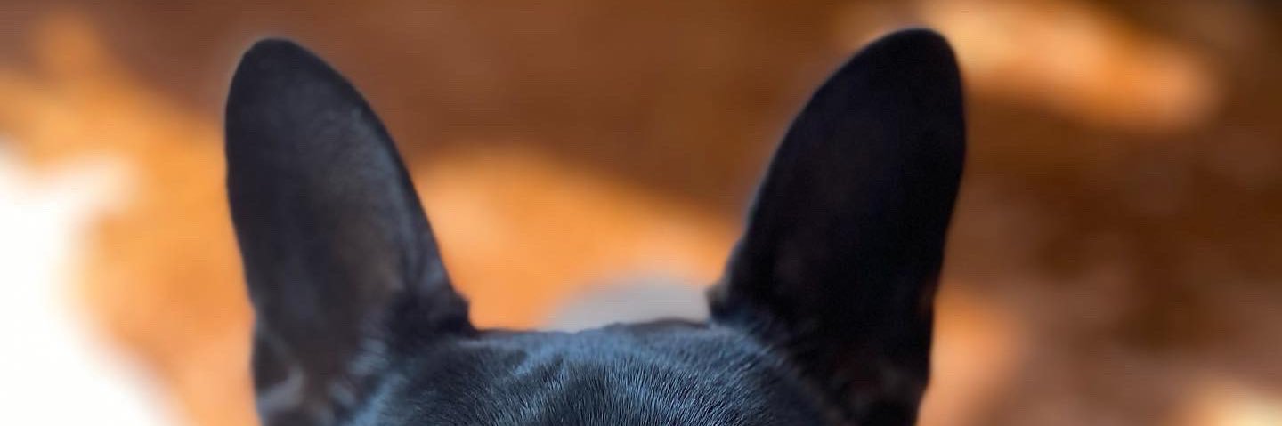 808cain's profile banner image