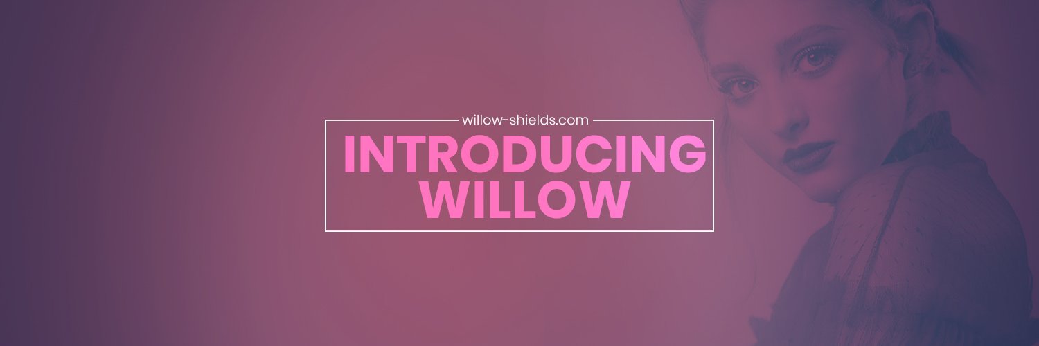 IntroWillow's profile banner image