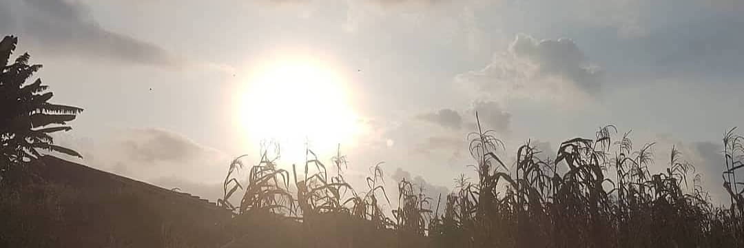dee_em_stones's profile banner image