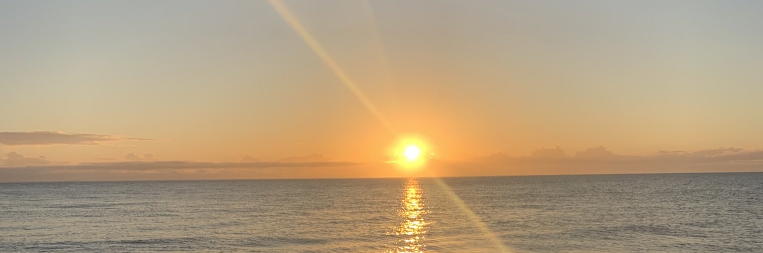 jodiemavroff_'s profile banner image