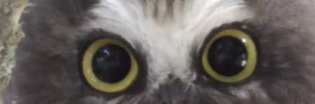 twitirriti's profile banner image