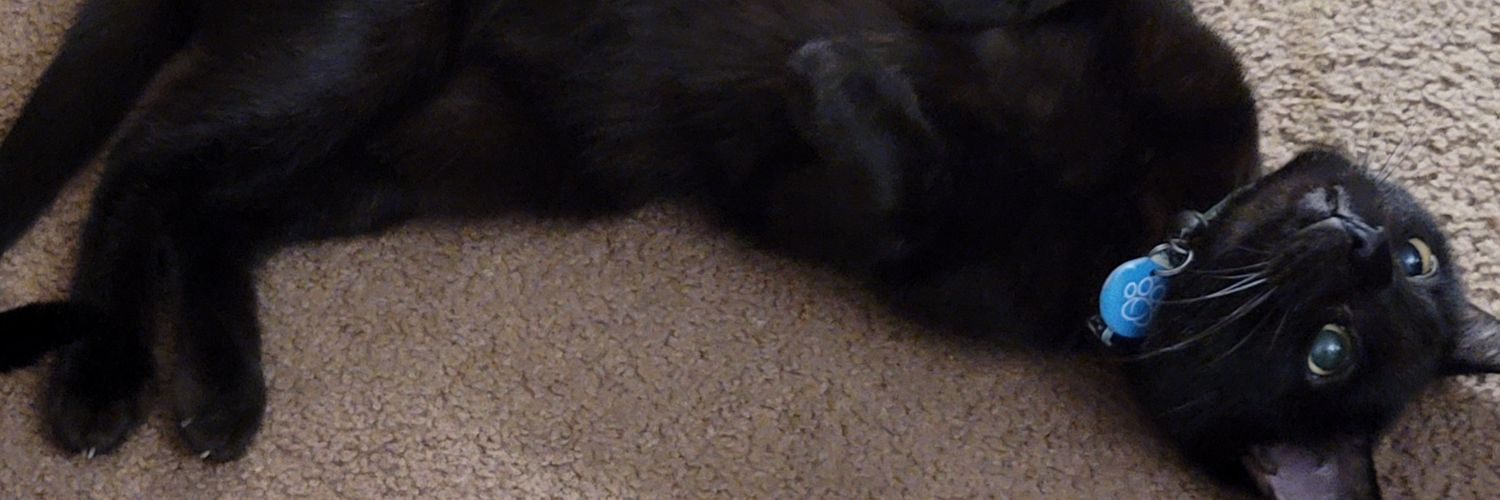 TonySquintz's profile banner image
