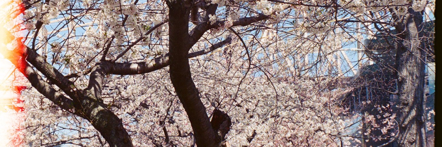 kannitt's profile banner image