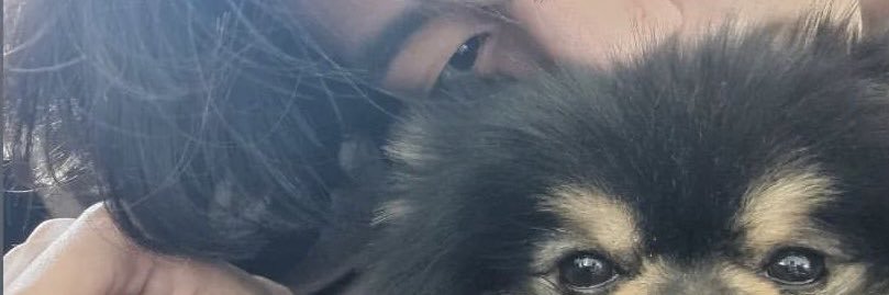 sunshynzz's profile banner image