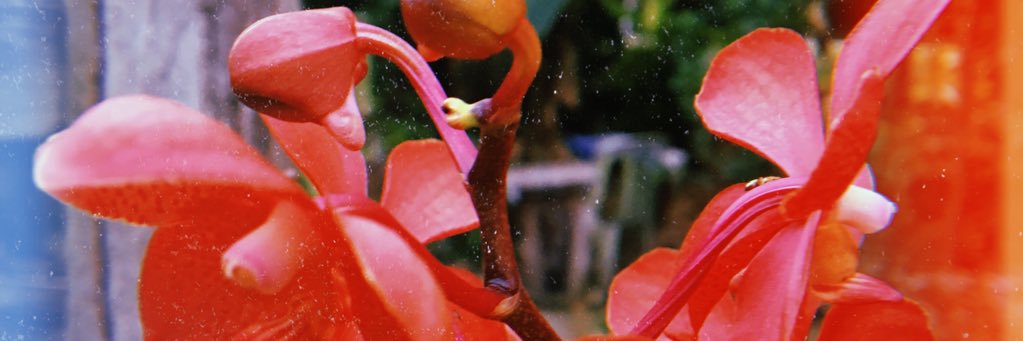 _amirazhari's profile banner image