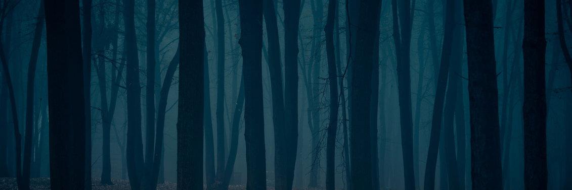 NubeRara's profile banner image