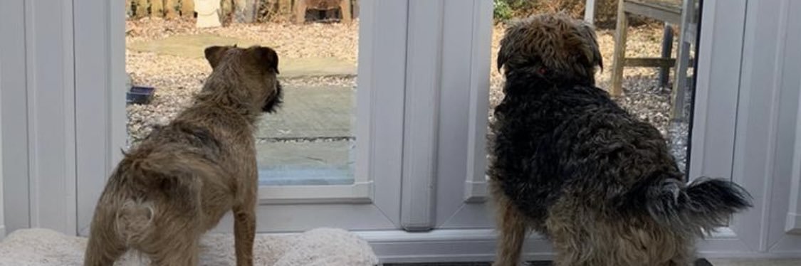 Rory CBE (& Wilson 🌈) banner