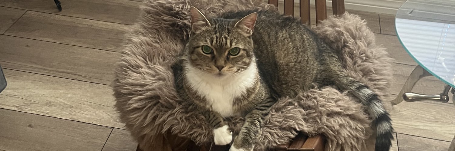 tobi2cats's profile banner image