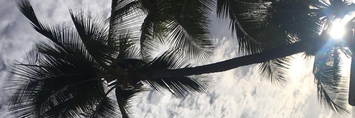 leahA_k's profile banner image