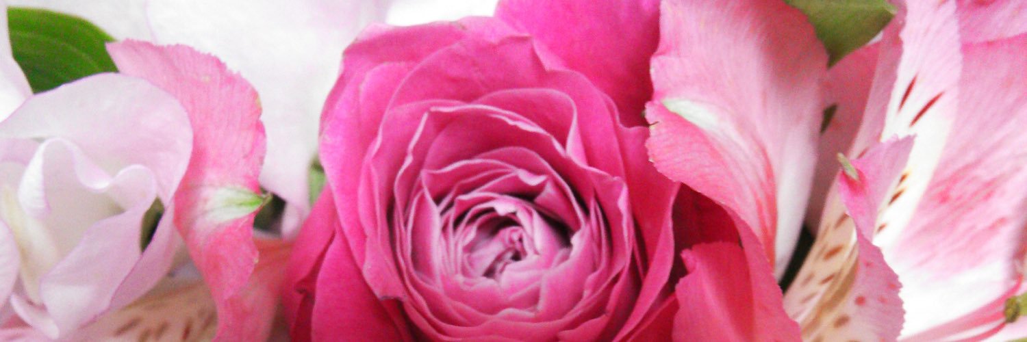 shoa_phall's profile banner image