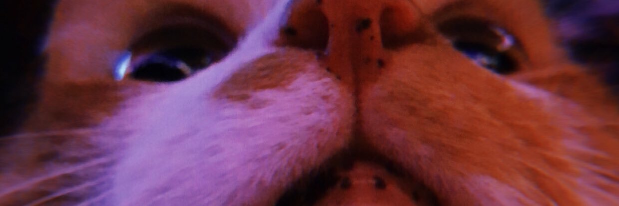 fuckyou_vicky's profile banner image