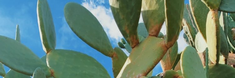 ColCeline's profile banner image