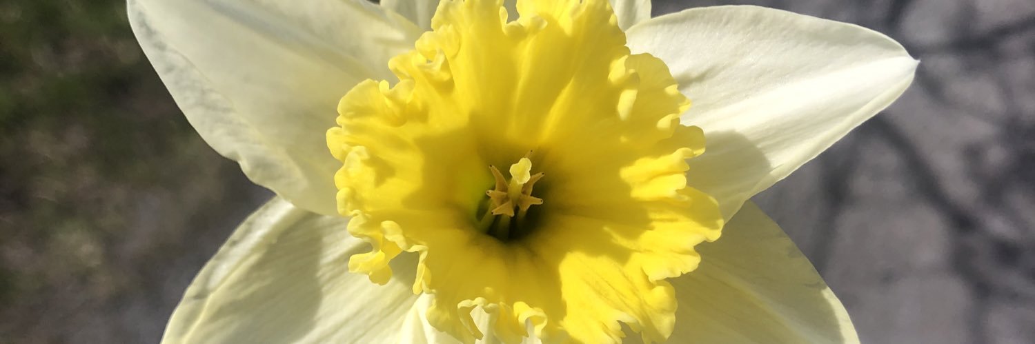 Abdullah Demirbaş banner