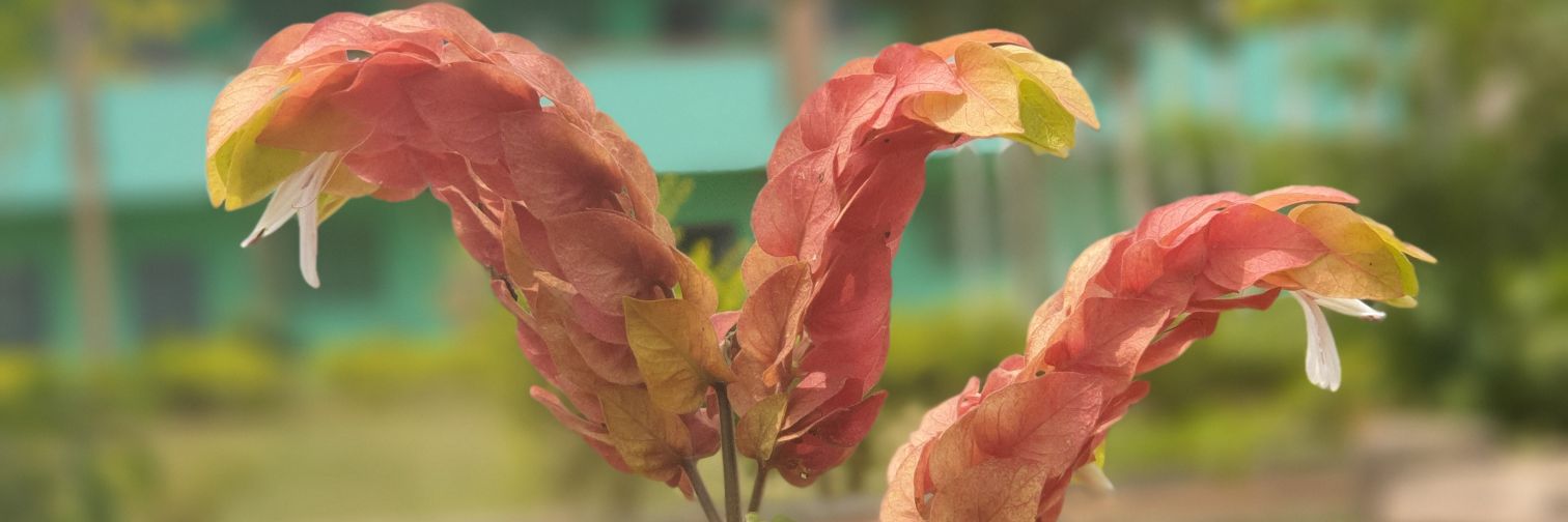 AgborAnderson's profile banner image