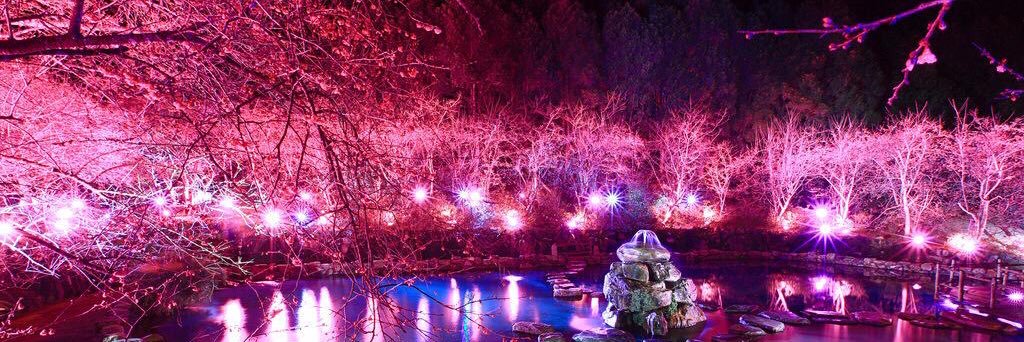 IVa_GODx's profile banner image