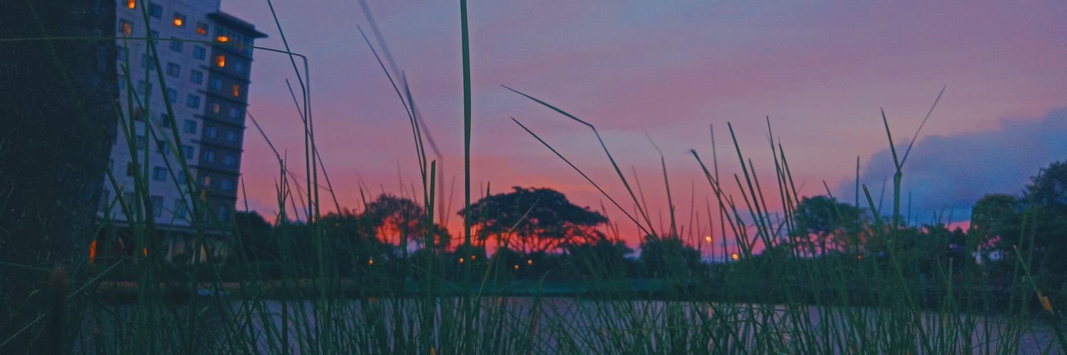 xailenejoy's profile banner image