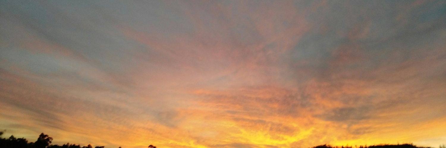 natymustang's profile banner image