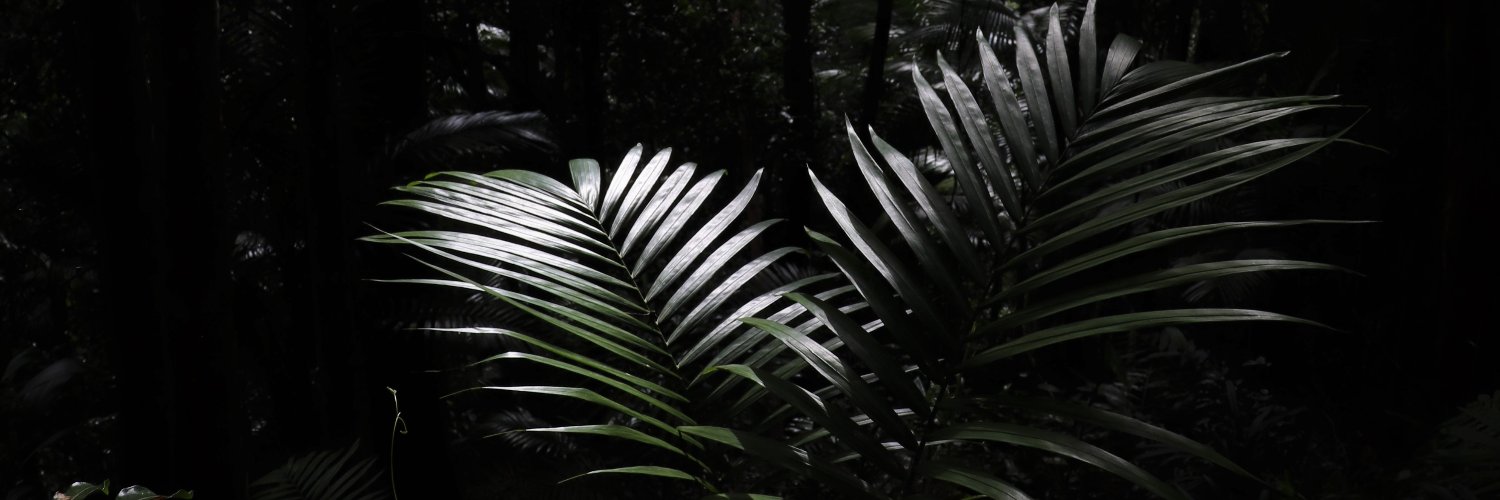Rob Mc banner