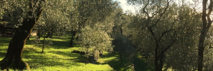 FunkyTramp #NAFO fella banner