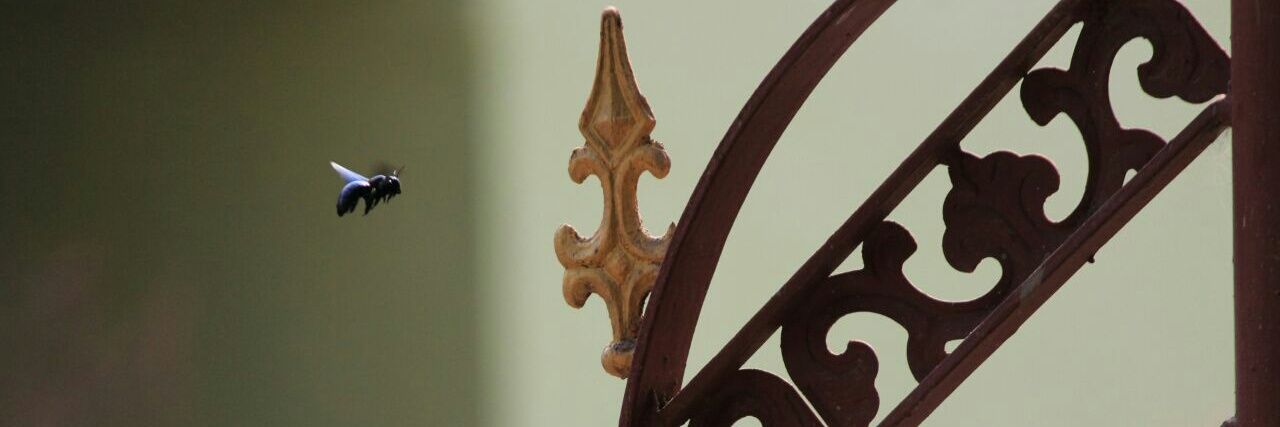 aatish_b's profile banner image
