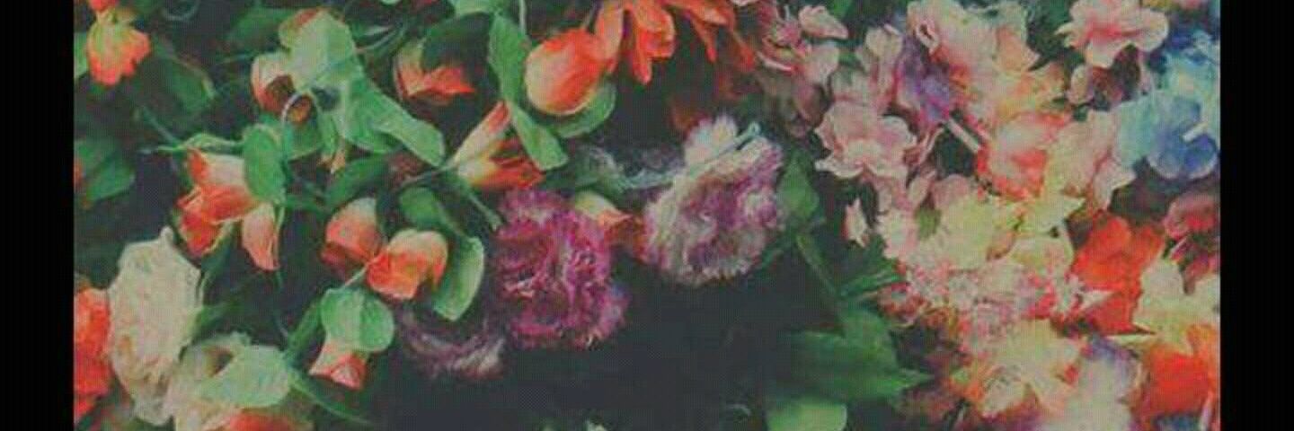 Rofyda11's profile banner image