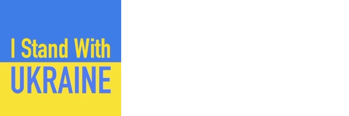 meshaiman's profile banner image