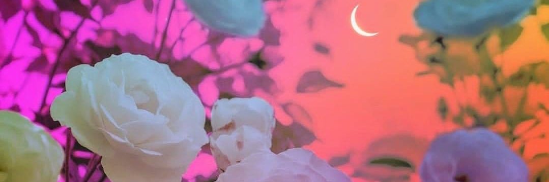 supadupadeja's profile banner image