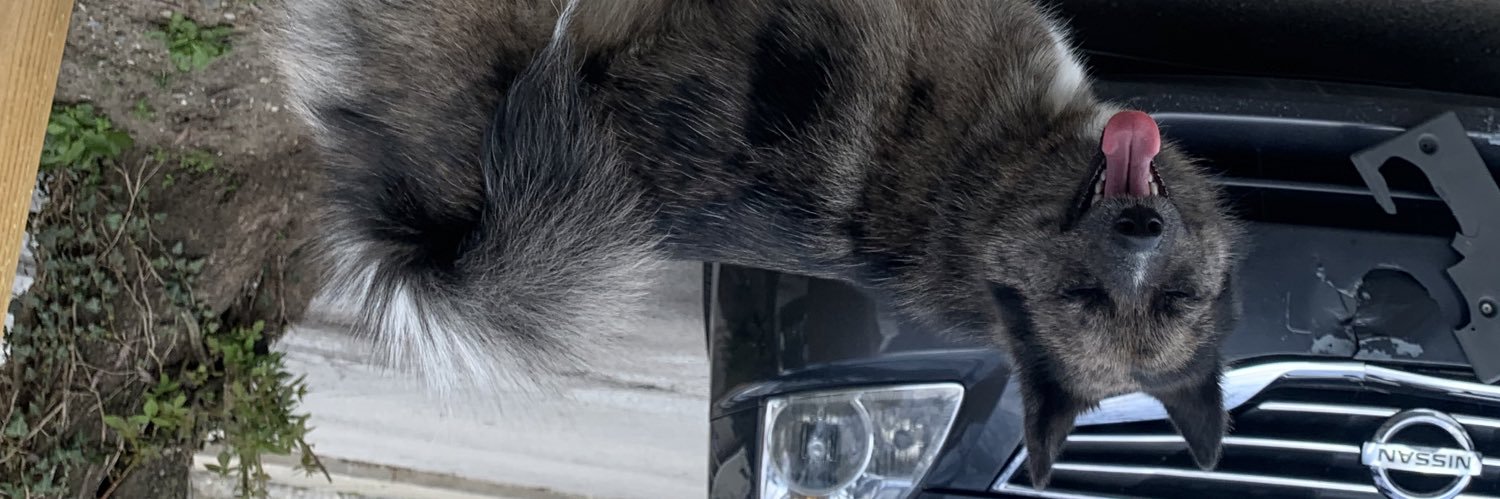 Srewby's profile banner image