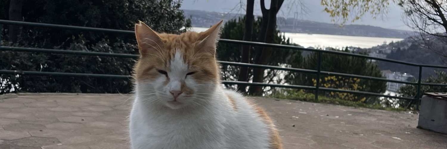 alihsangll's profile banner image