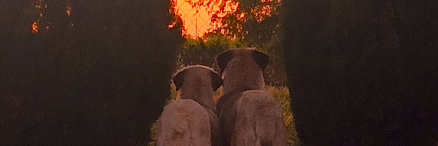 claracs978's profile banner image