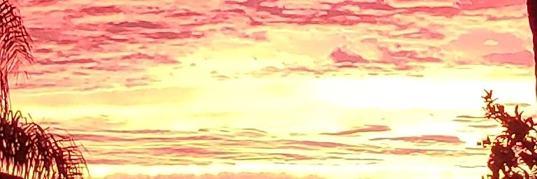 Alvarez_Carlos's profile banner image