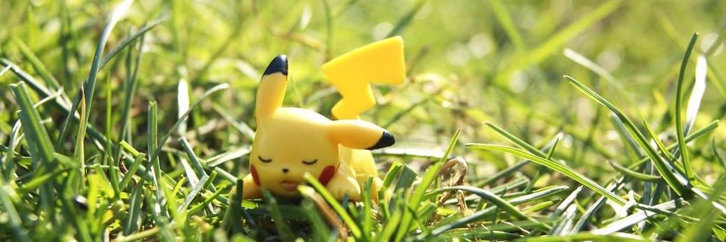 PikachuNation's profile banner image