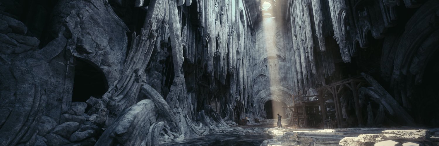 postfield🐝 RE1 banner