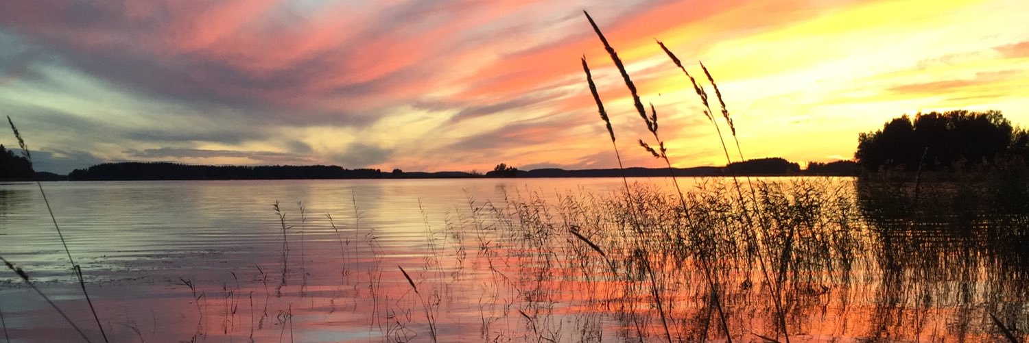 Sumayah Al-Solaiman banner