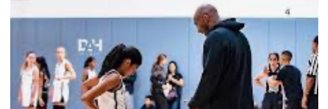 Kim Birkenfeld banner